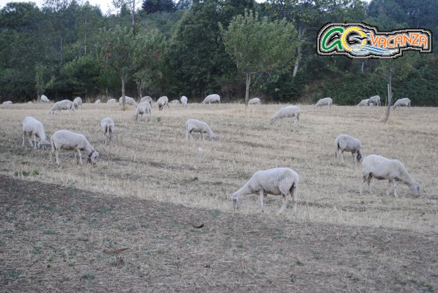 Mosorrofa (Reggio Calabria) Azienda Agrituristica Vulghid